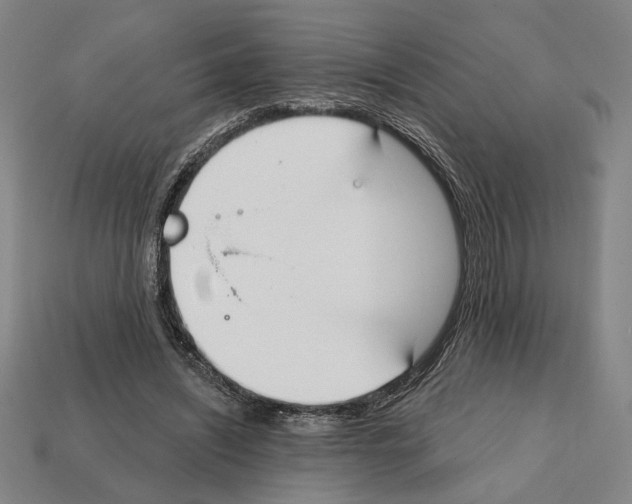 X0000112020444200909141039