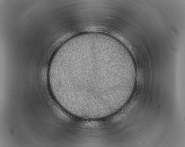 X0000112020445200909141039