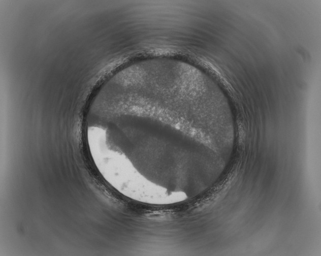 X0000112020447200909141039