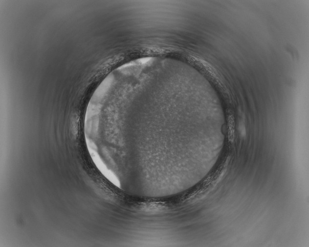 X0000112020451200909141039