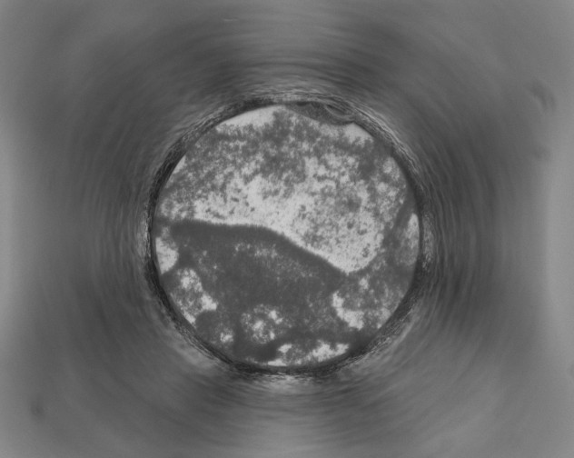 X0000112020453200909141039