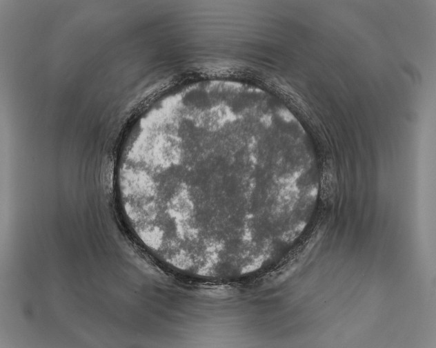 X0000112020454200909141039