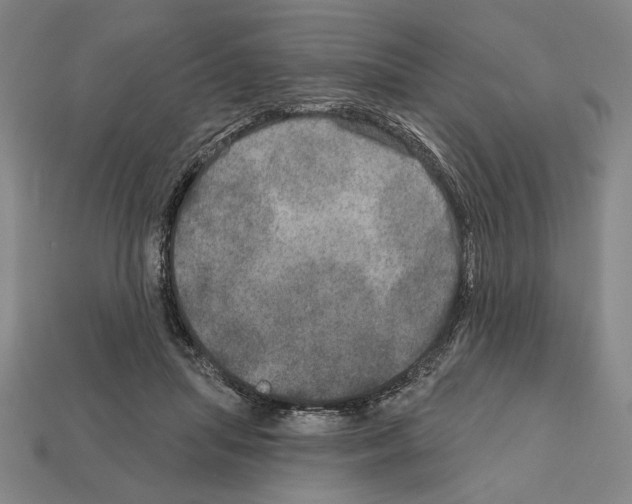 X0000112020455200909141039