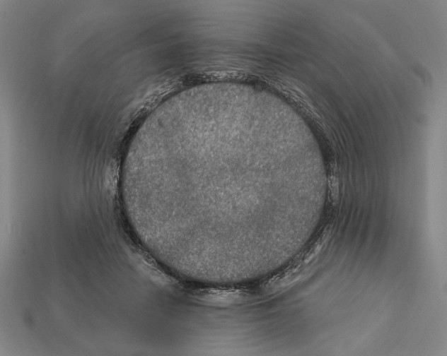 X0000112020458200909141039