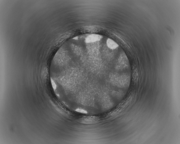 X0000112020459200909141039