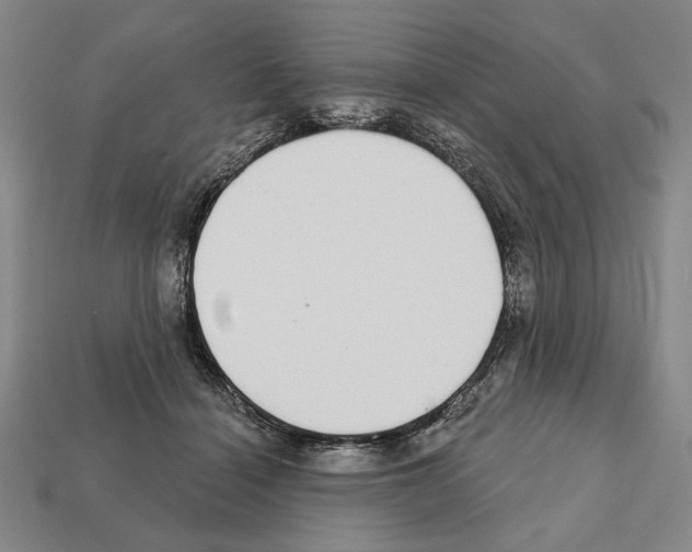 X0000112020460200909141039