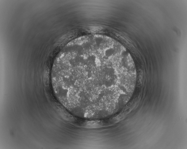 X0000112020461200909141039