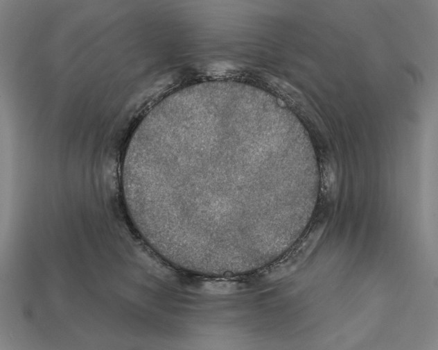 X0000112020470200909141039