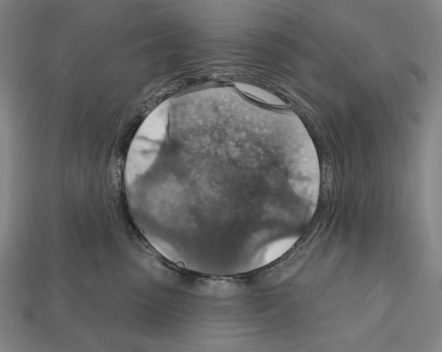 X0000112020475200909141039