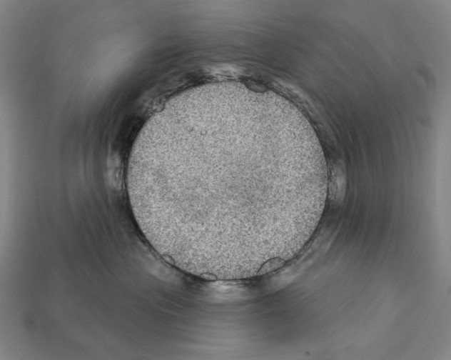 X0000112020477200909141039