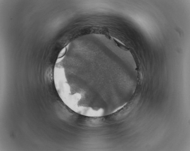 X0000112020479200909141039