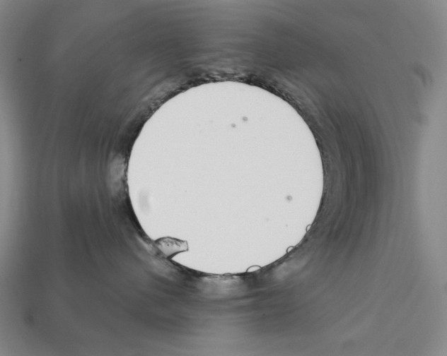 X0000112020480200909141039