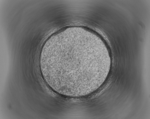 X0000112020481200909141039