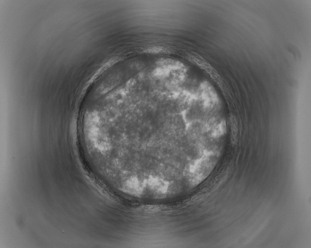 X0000112020482200909141039