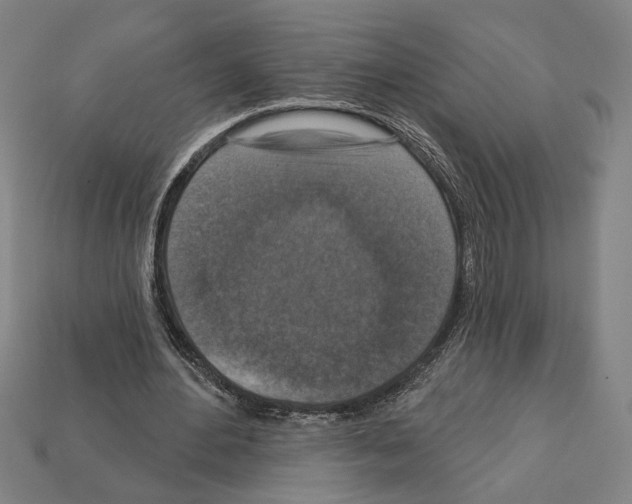 X0000112020484200909141039