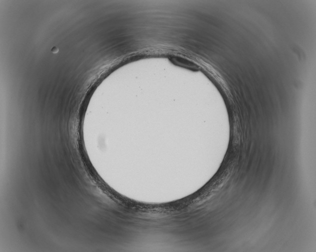 X0000112020485200909141039