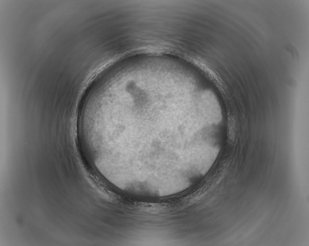 X0000112020486200909141039