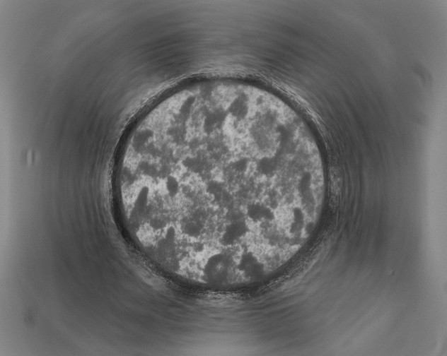 X0000112020487200909141039