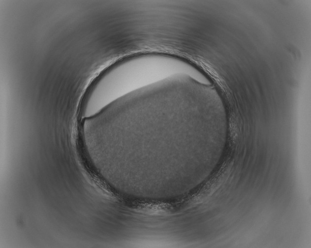 X0000112020488200909141039