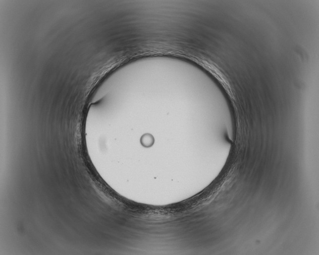 X0000112020489200909141039