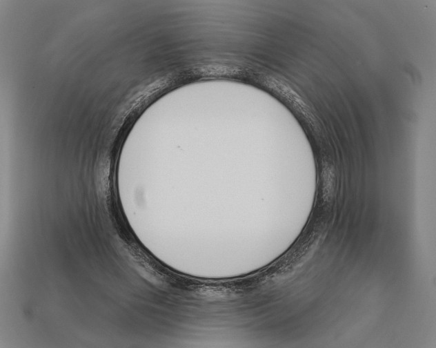 X0000112020490200909141039