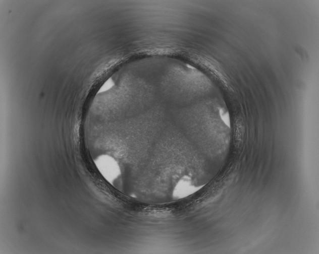 X0000112020491200909141039