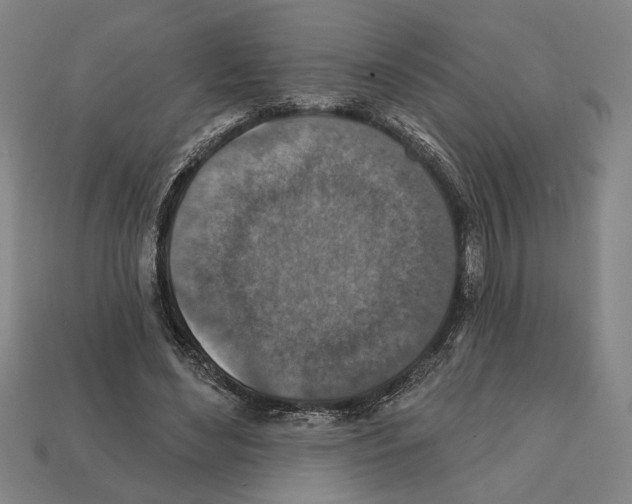 X0000112020492200909141039