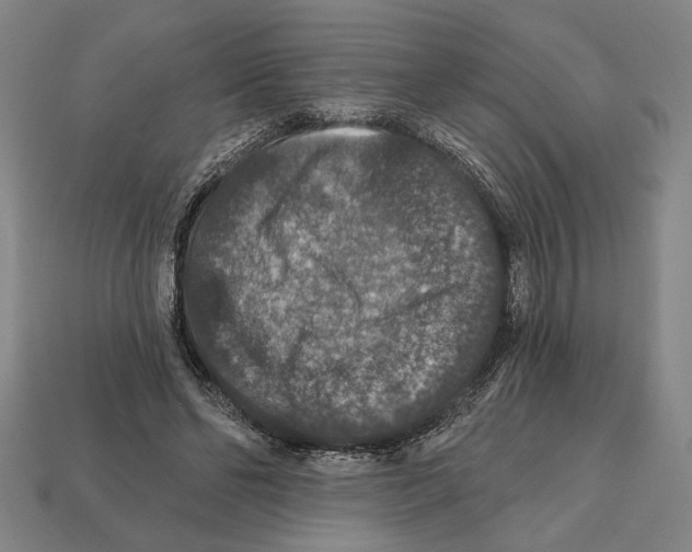 X0000112020494200909141039