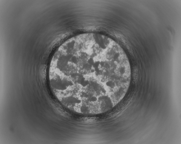 X0000112020495200909141039