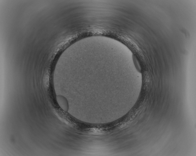 X0000112020496200909141039