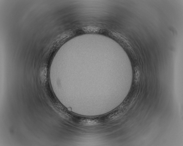 X0000112020498200909141039