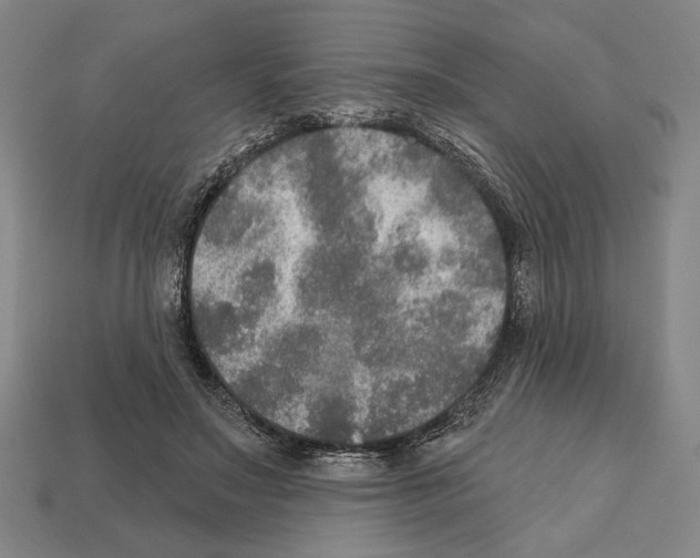 X0000112020499200909141039