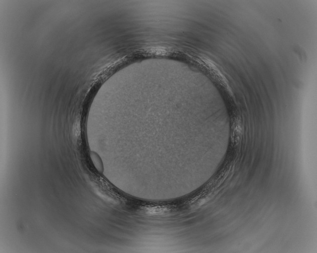 X0000112020500200909141039