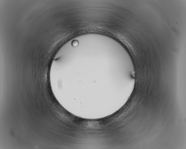 X0000112020501200909141039