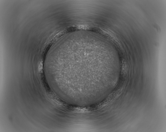 X0000112020502200909141039