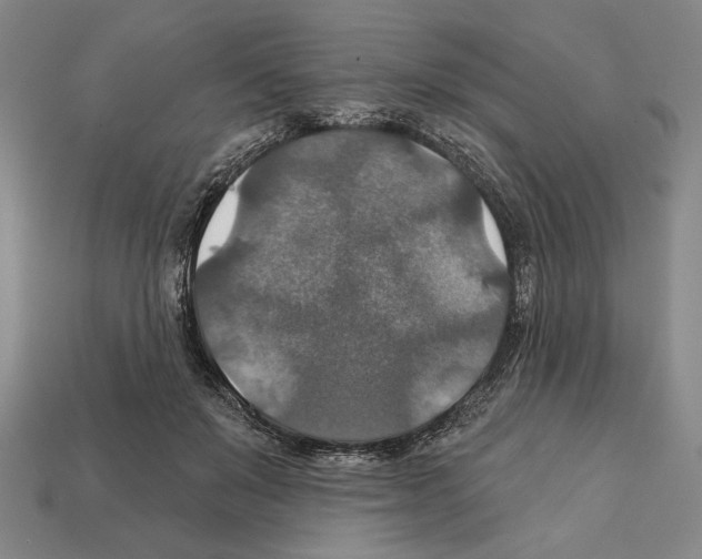 X0000112020503200909141039