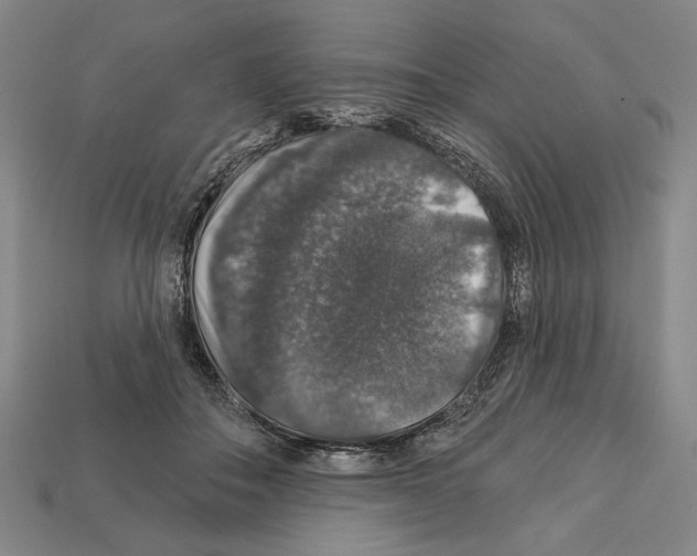 X0000112020506200909141038