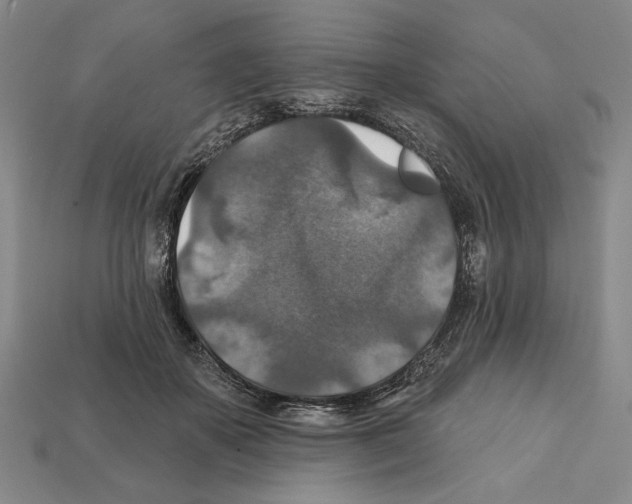 X0000112020507200909141038