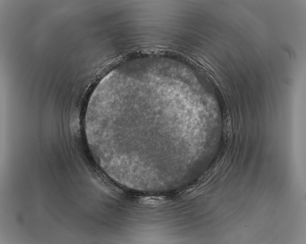 X0000112020508200909141038