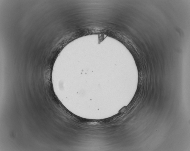 X0000112020509200909141038