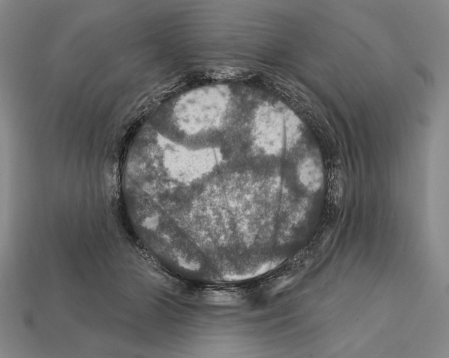 X0000112020510200909141038