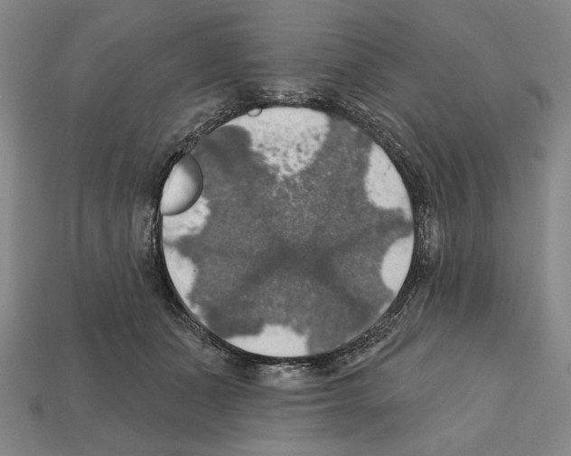 X0000112020511200909141038