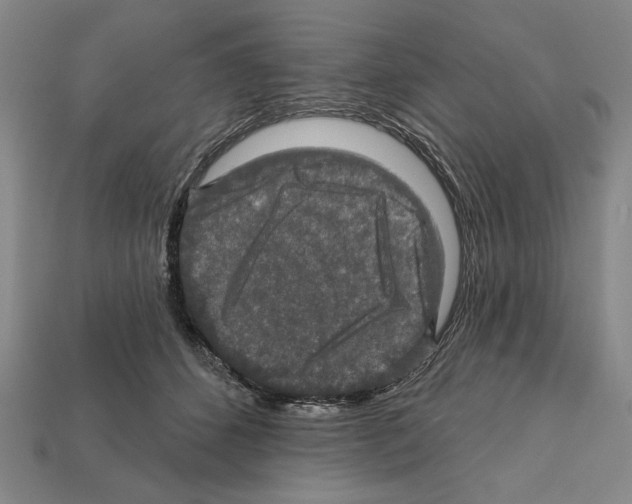 X0000112020512200909141038