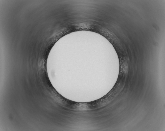 X0000112020518200909141038