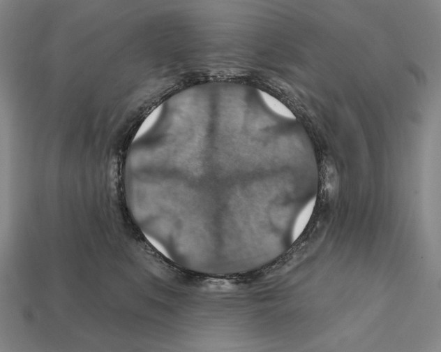 X0000112020519200909141038