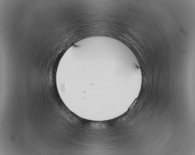 X0000112020520200909141038