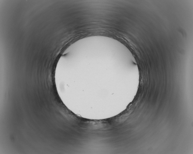 X0000112020524200909141038