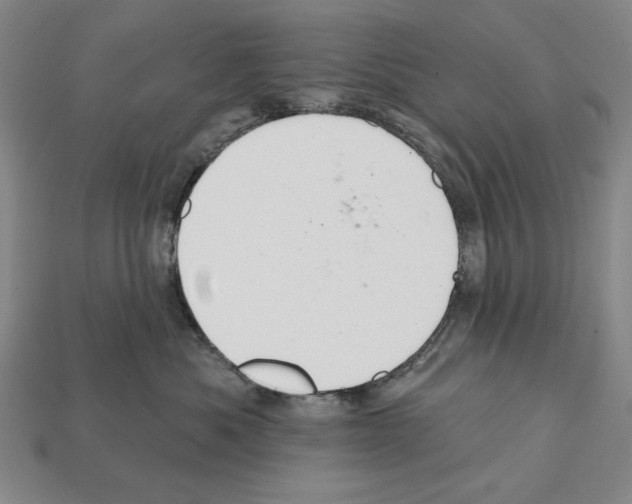 X0000112020525200909141038