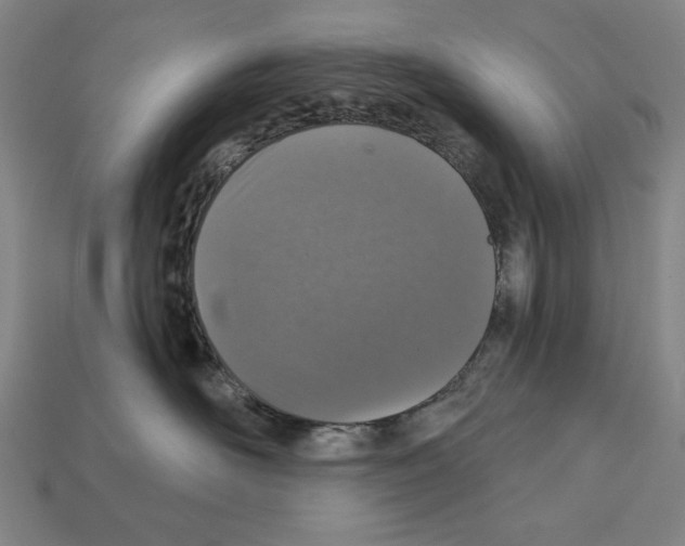 X0000112020526200909141038