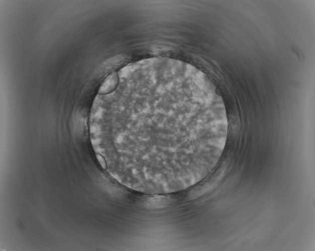 X0000112020527200909141038